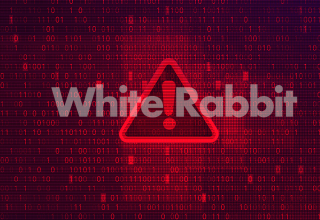 White Rabbit.