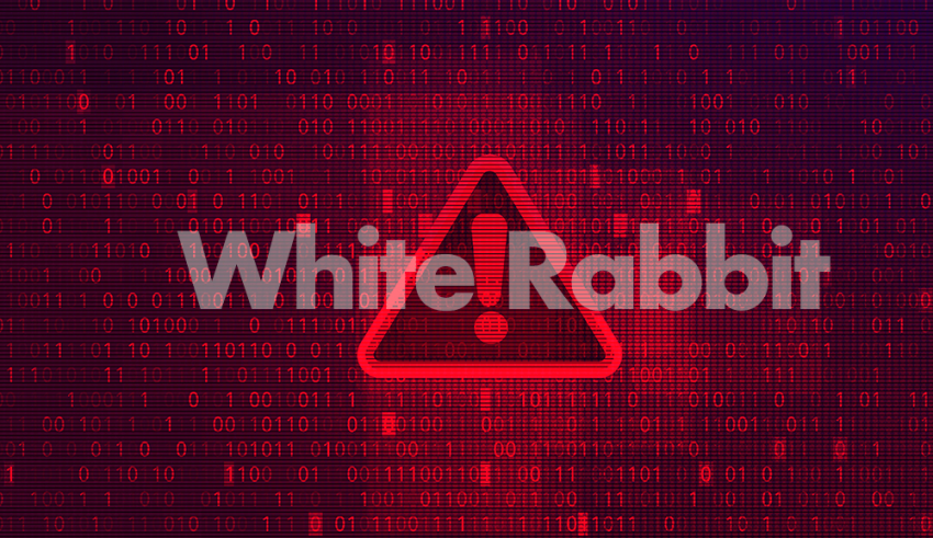 White Rabbit.