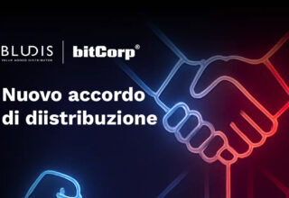 Bitcorp | Bludis