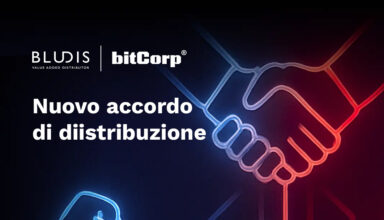 Bitcorp | Bludis
